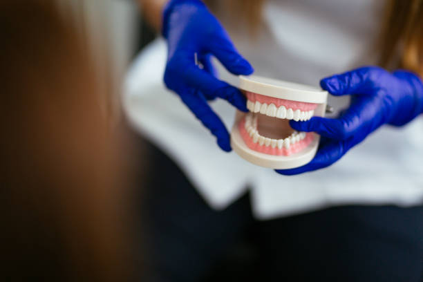 Best Preventive Dentistry  in English Creek, NJ